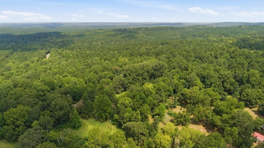 8 acres in Texas County - photo 11