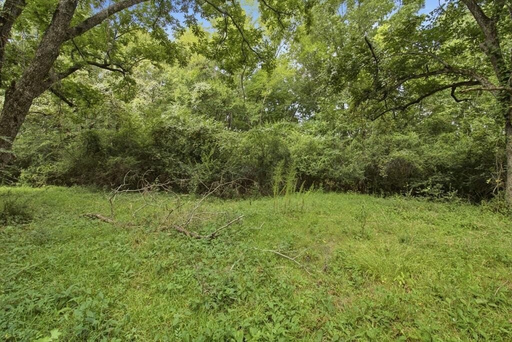 8 acres in Texas County - photo 6