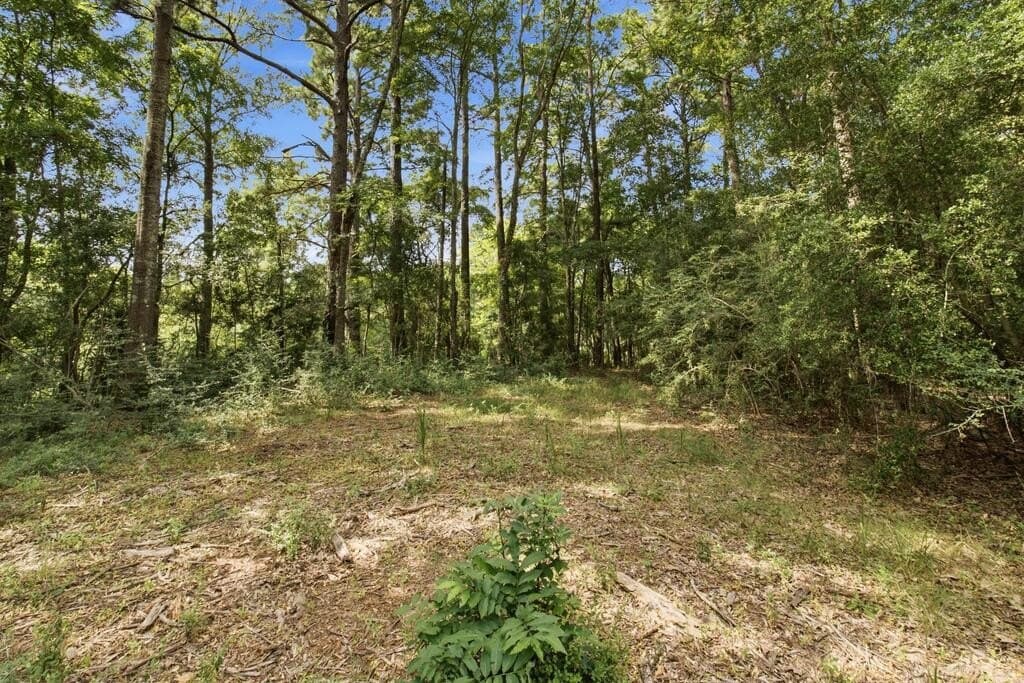 8 acres in Texas County - photo 7
