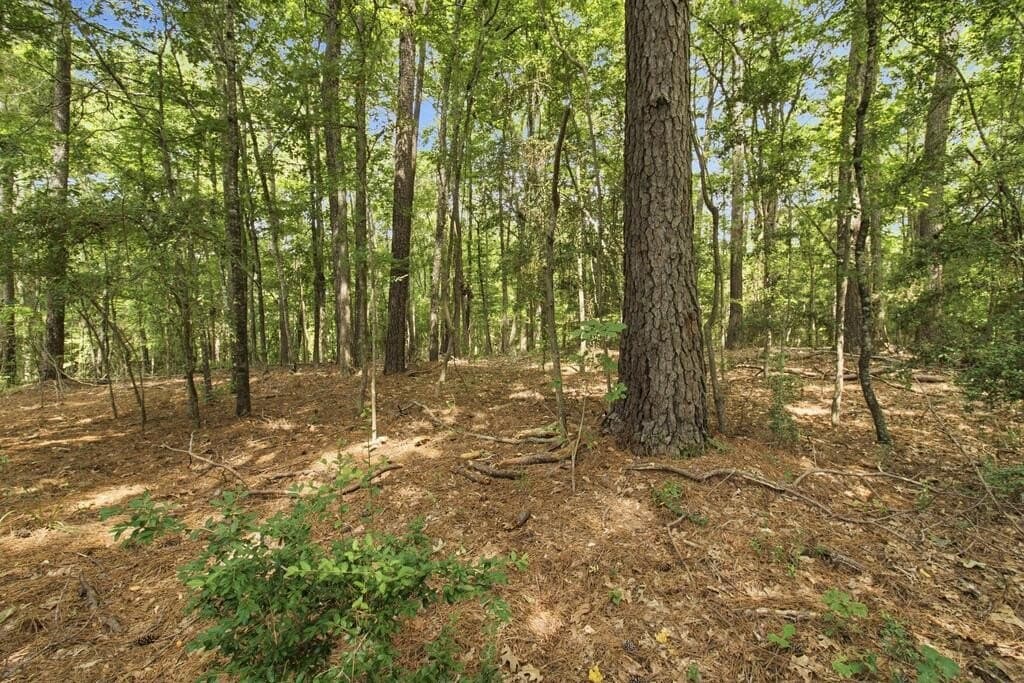 8 acres in Texas County - photo 8