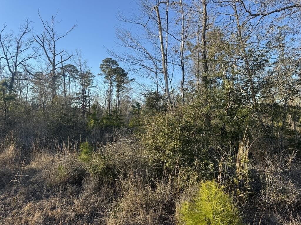 3 acres in Texas County
