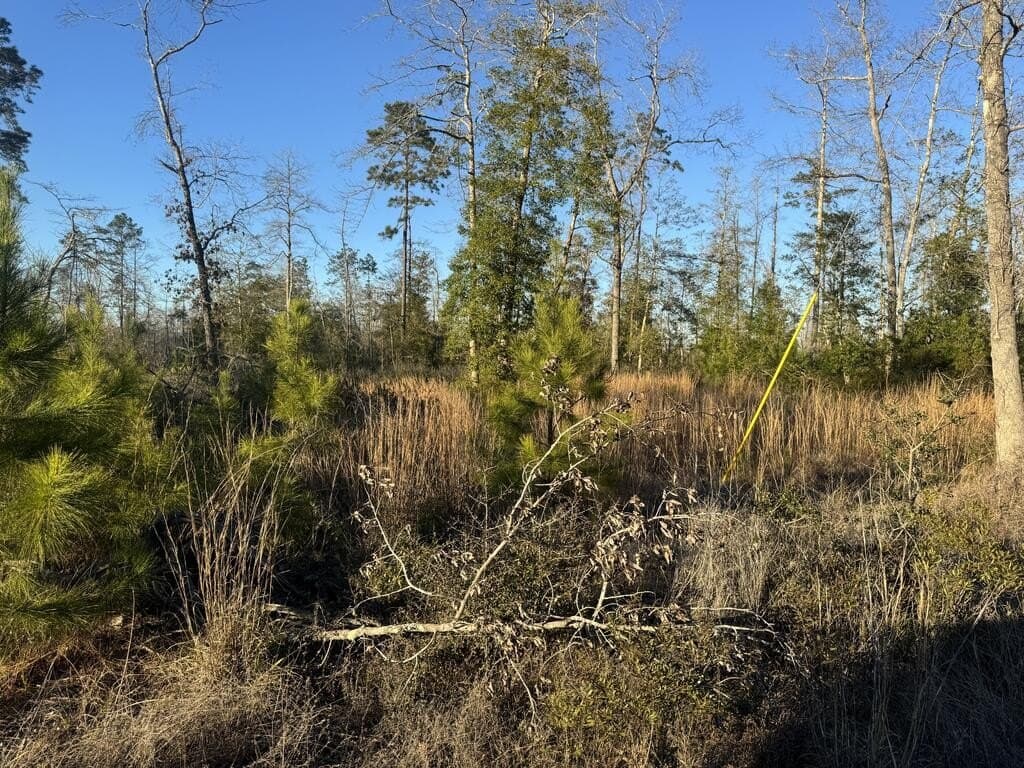3 acres in Texas County - photo 2