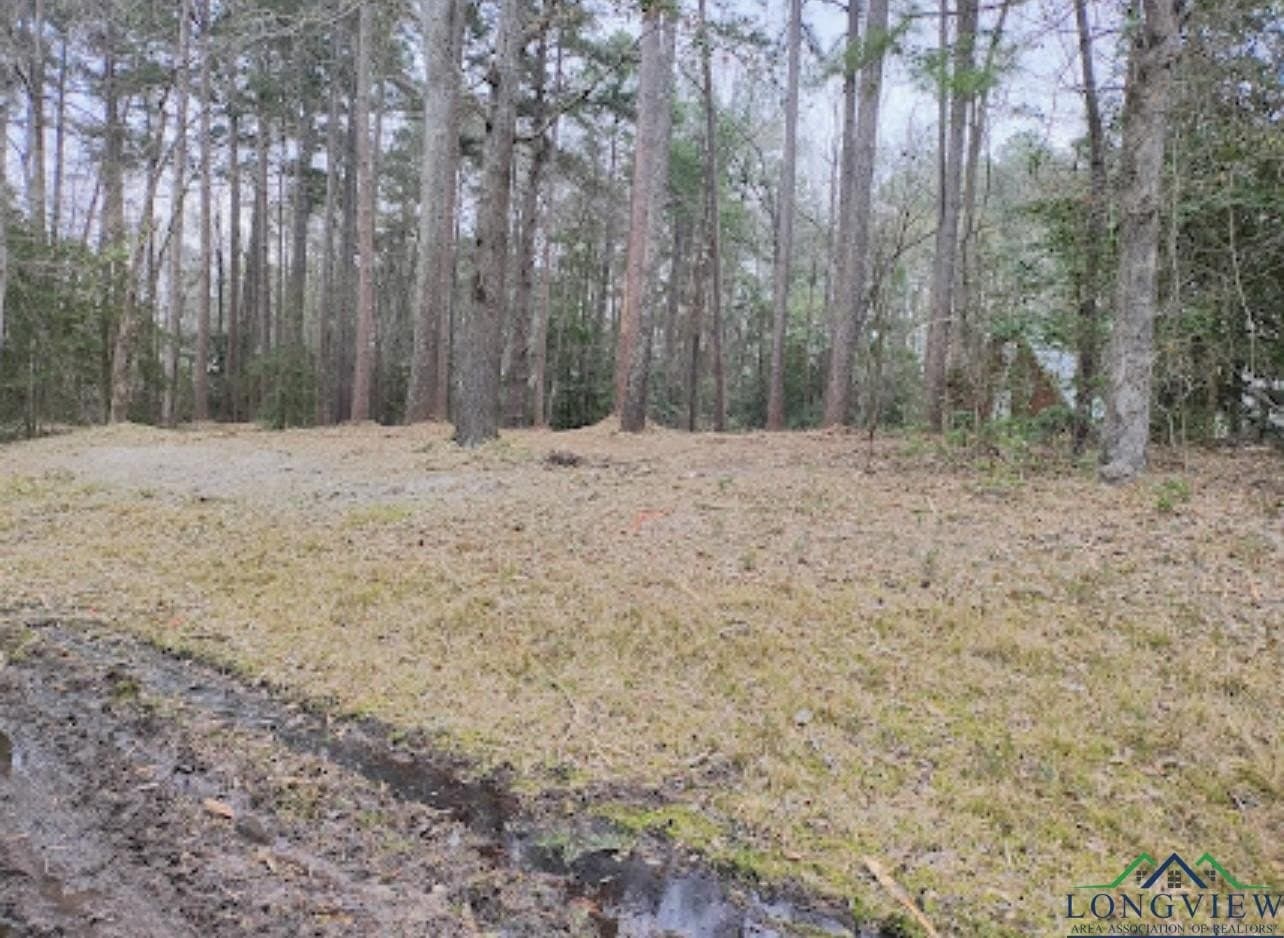 0.28 acres in Harrison County gallery image 3