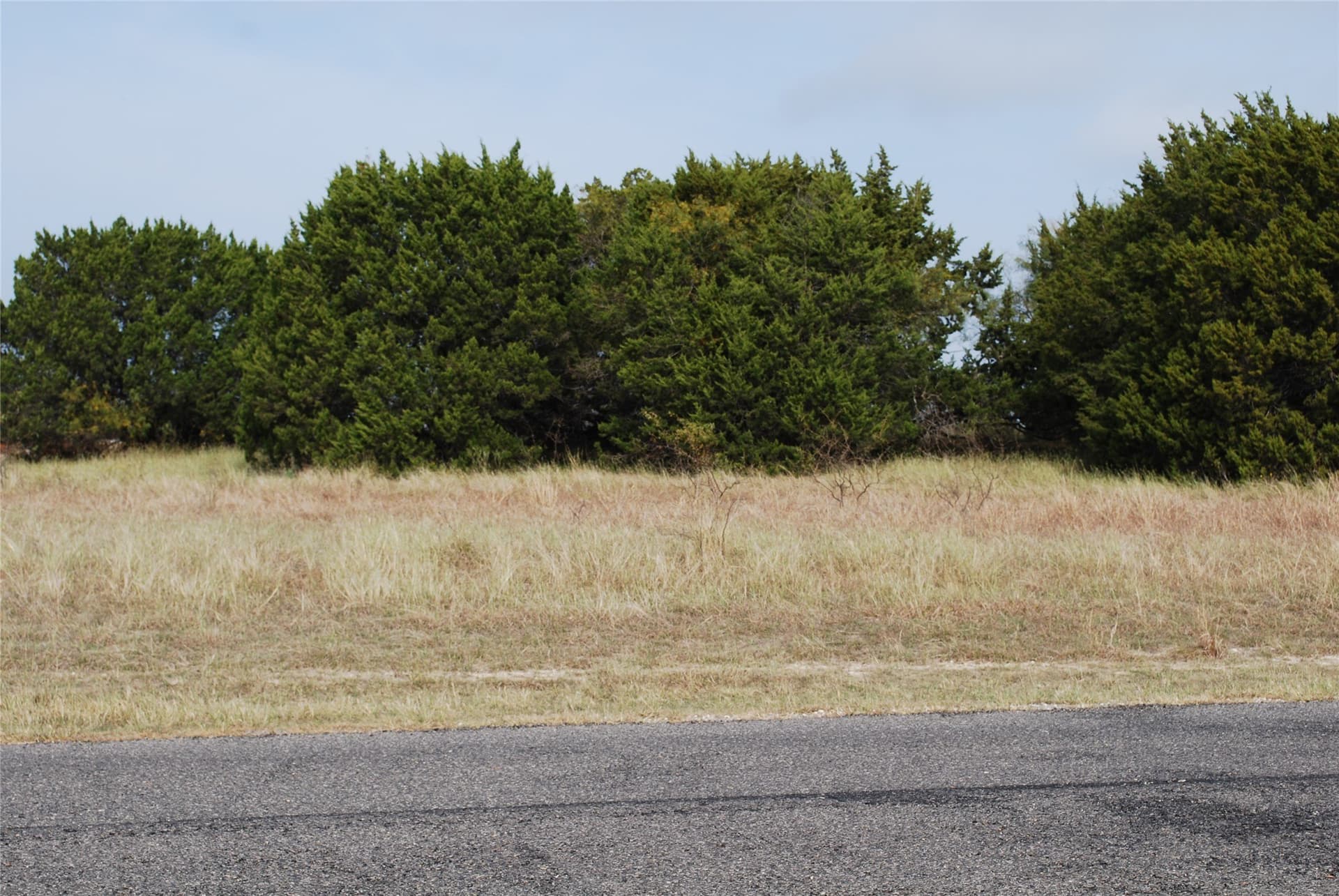 0.29 acres in Hill County - photo 6