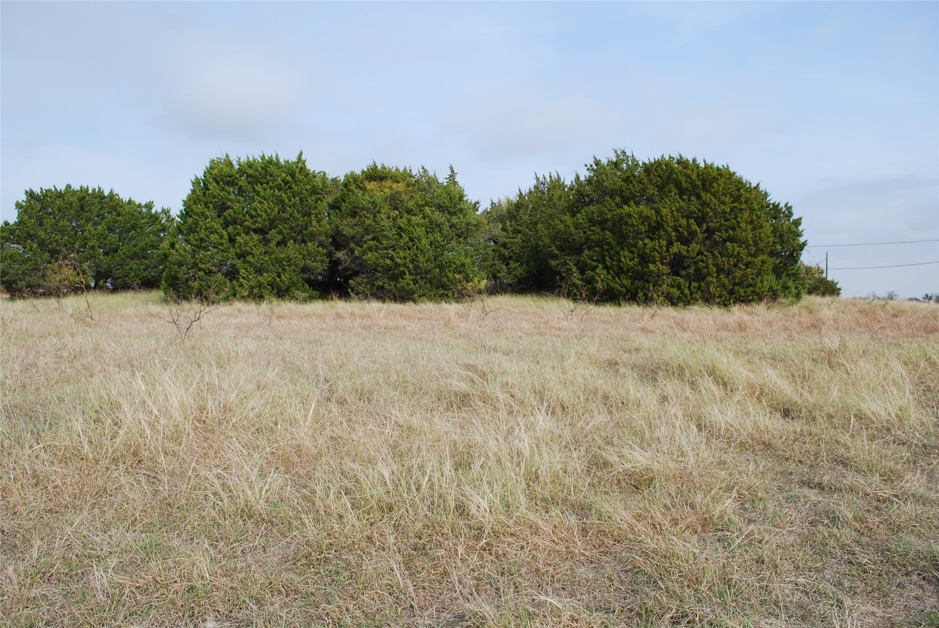0.29 acres in Hill County - photo 10
