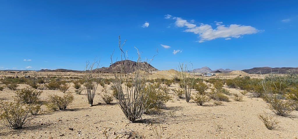 14.49 acres in Brewster County - photo 23