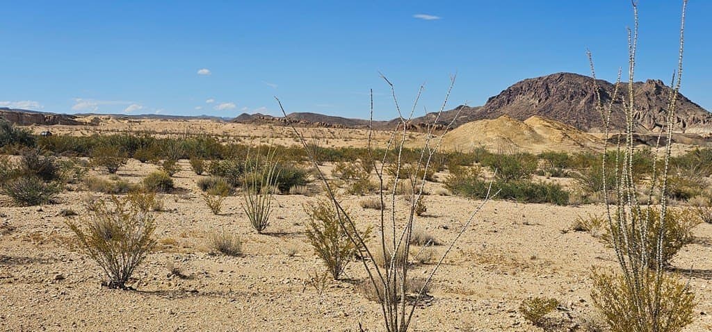 14.49 acres in Brewster County - photo 22