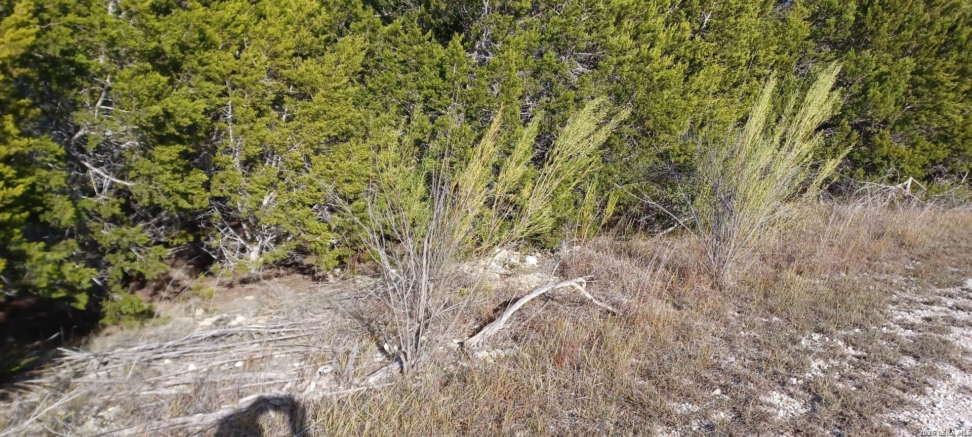 1.37 acres in Comal County gallery image 3