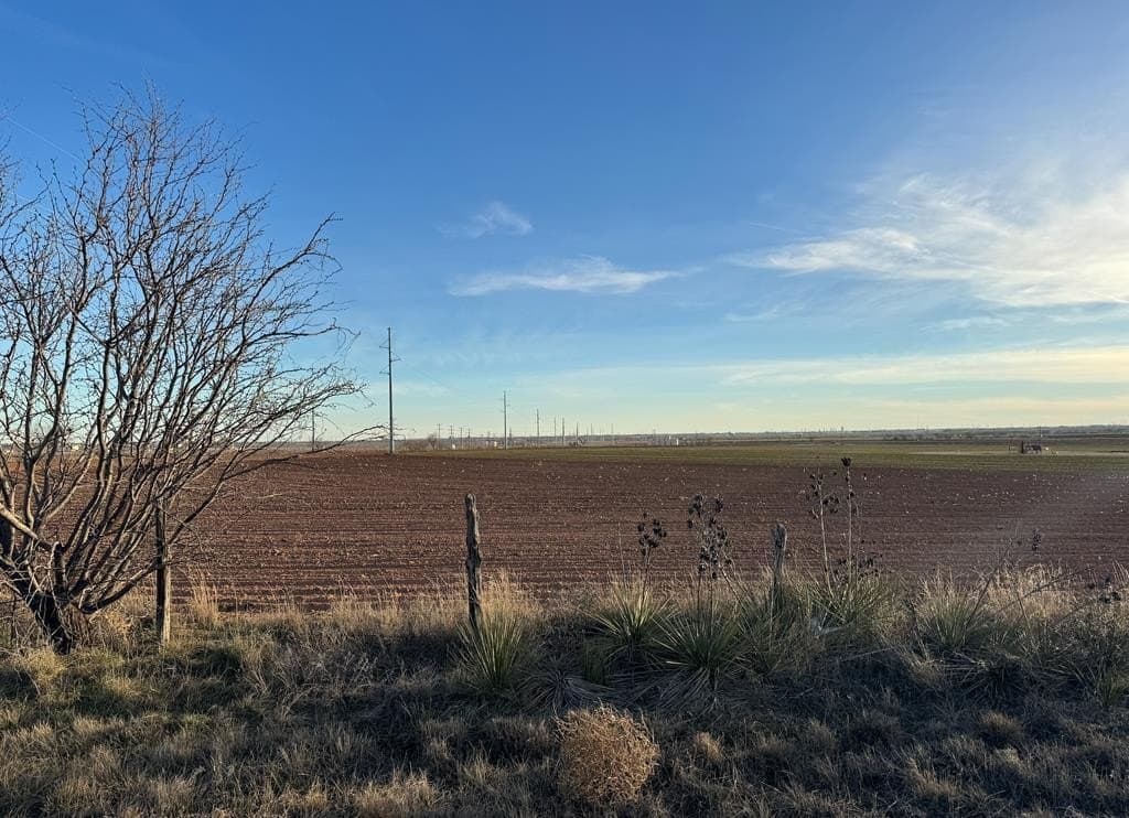 80.27 acres in Scurry County