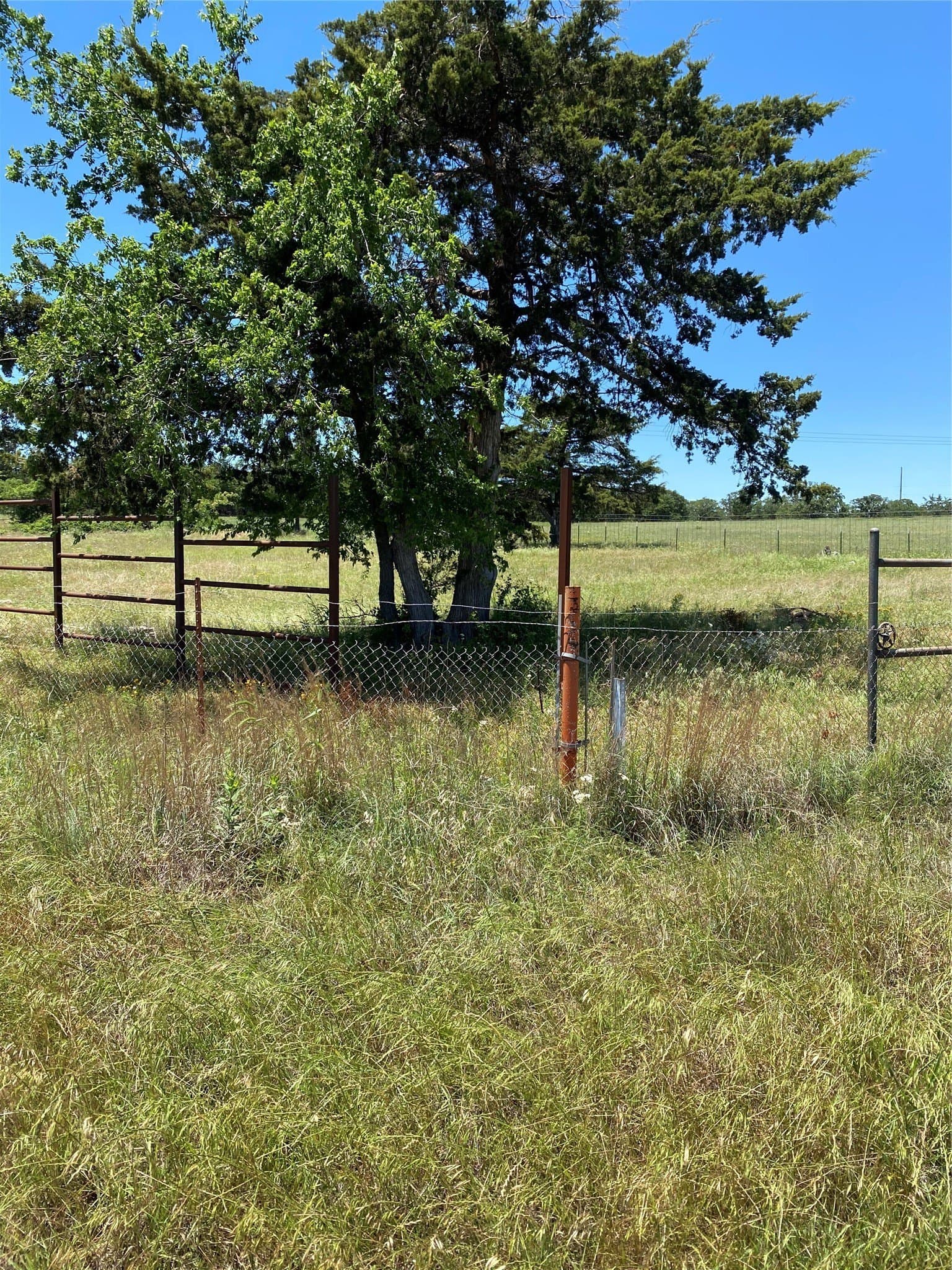 10 acres in Montague County