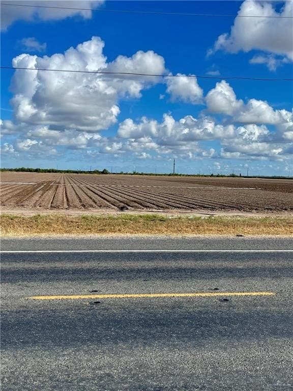 30.2 acres in Hidalgo County gallery image 2