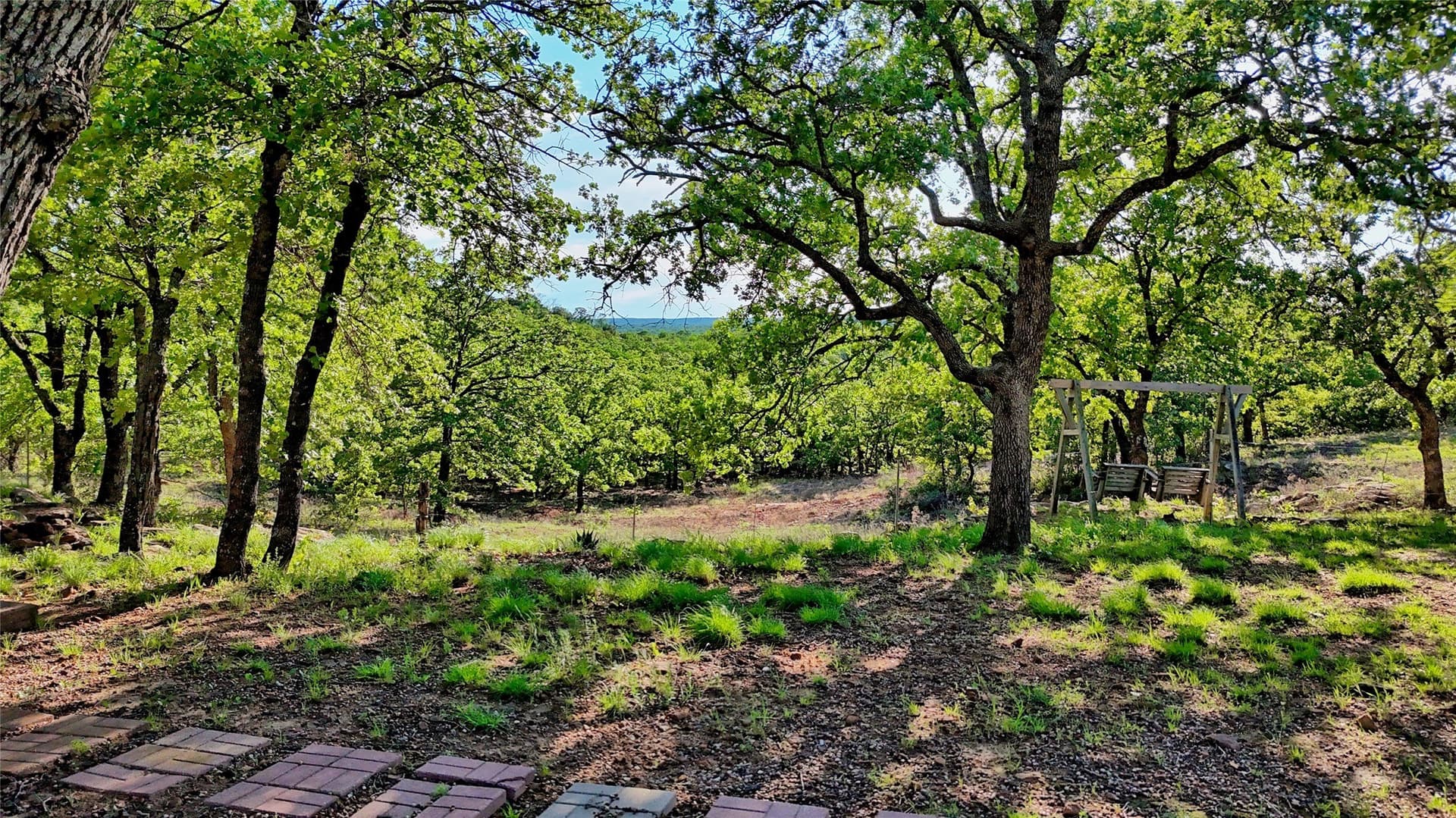 114.44 acres in Montague County - photo 33
