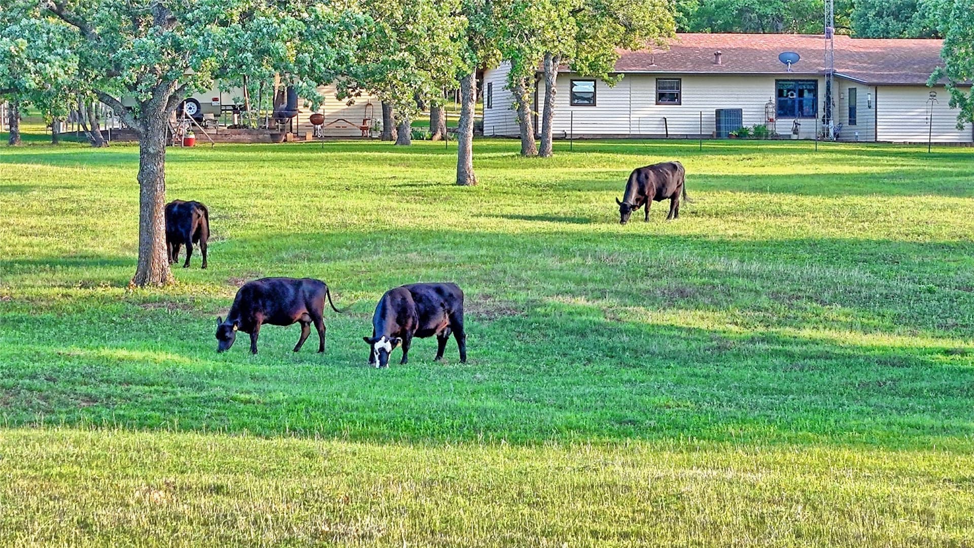 114.44 acres in Montague County - photo 15