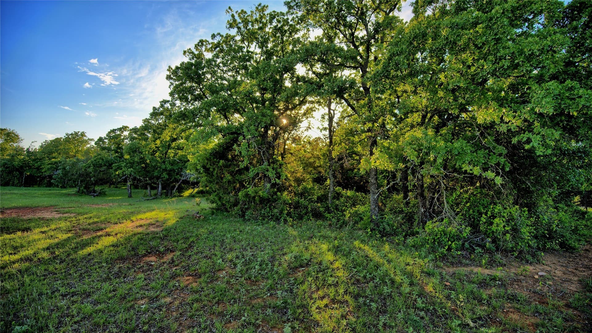 114.44 acres in Montague County - photo 22