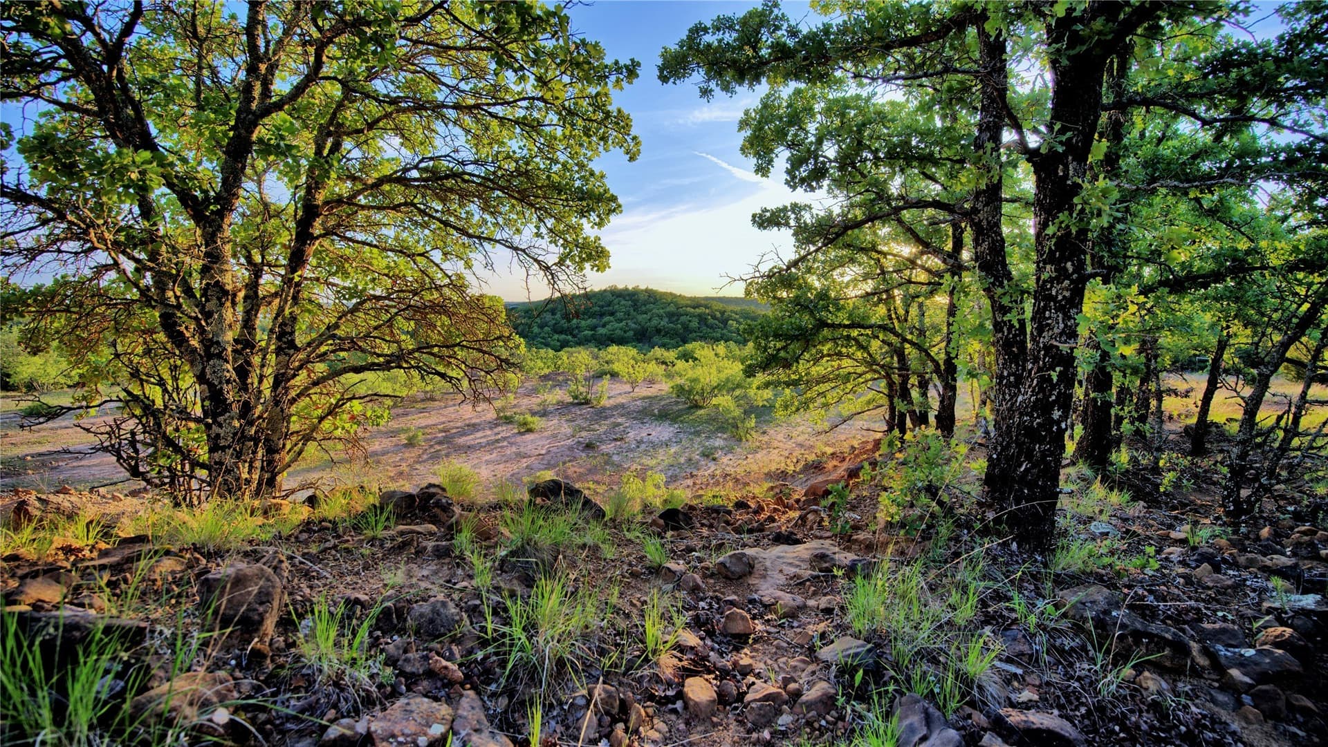 114.44 acres in Montague County - photo 36