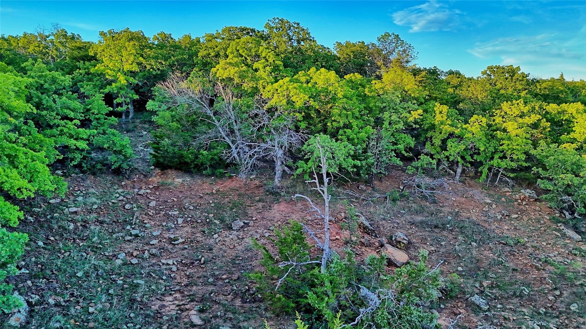 114.44 acres in Montague County - photo 21