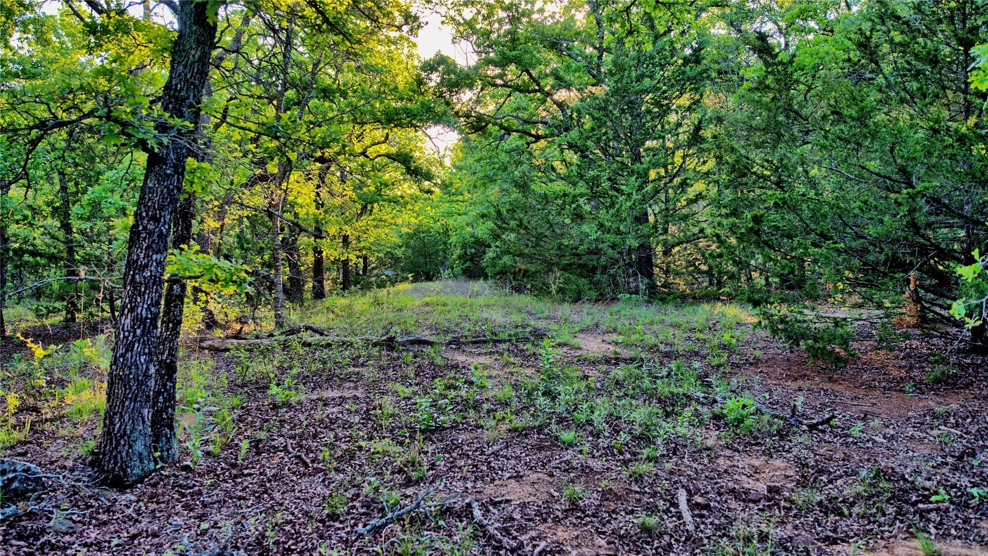 114.44 acres in Montague County - photo 25