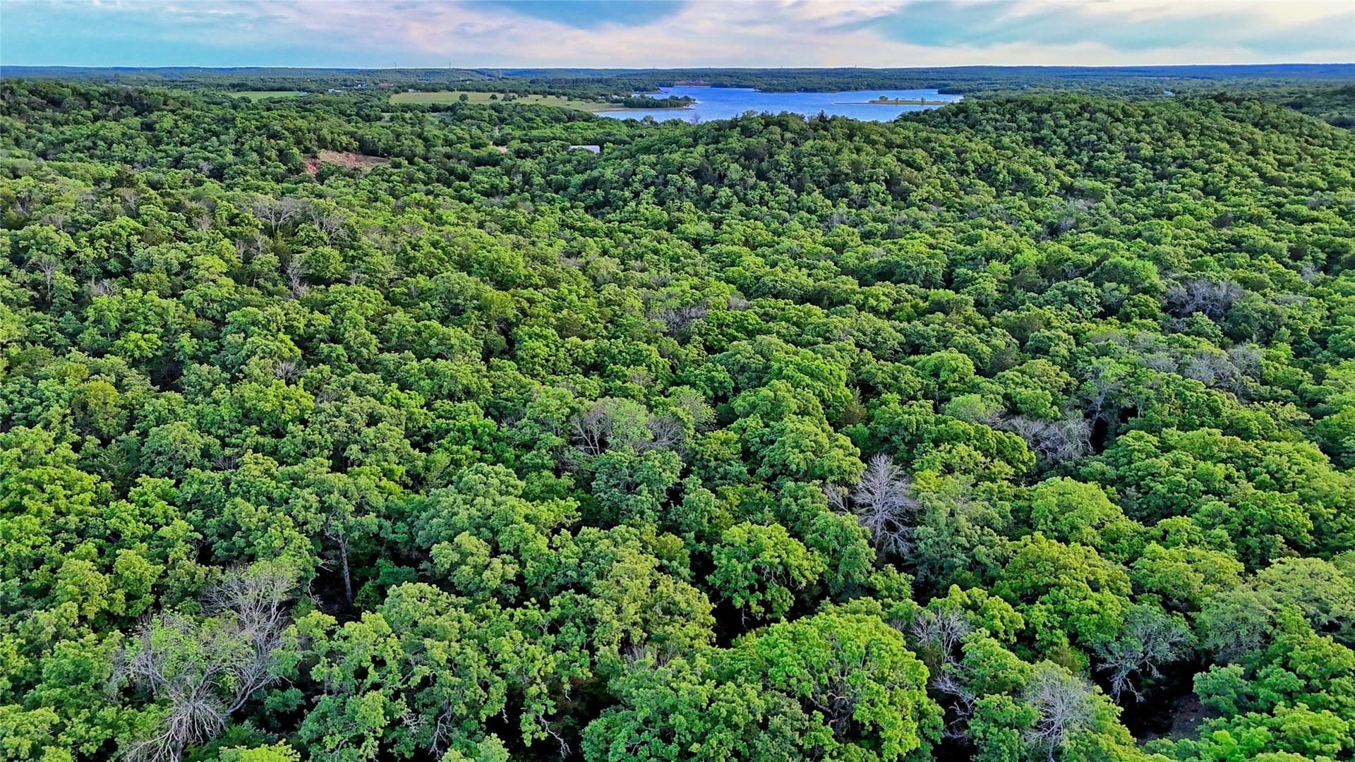 114.44 acres in Montague County - photo 23