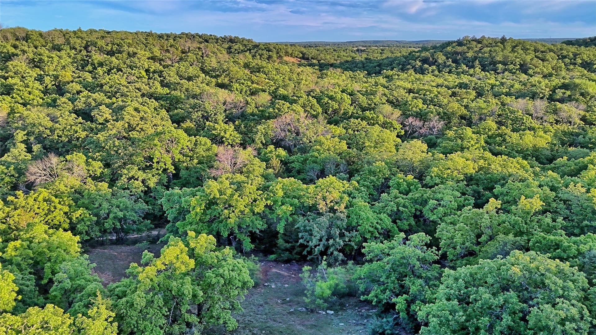 114.44 acres in Montague County - photo 20