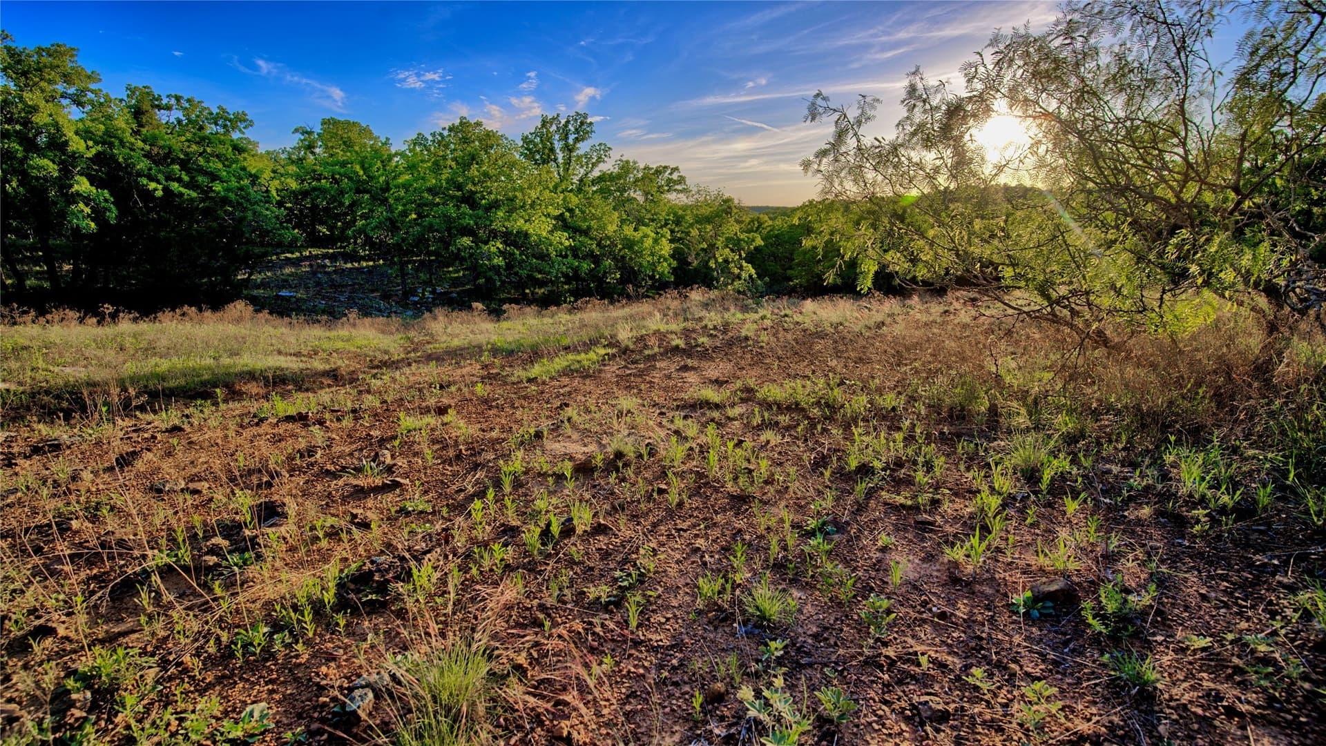 114.44 acres in Montague County - photo 16