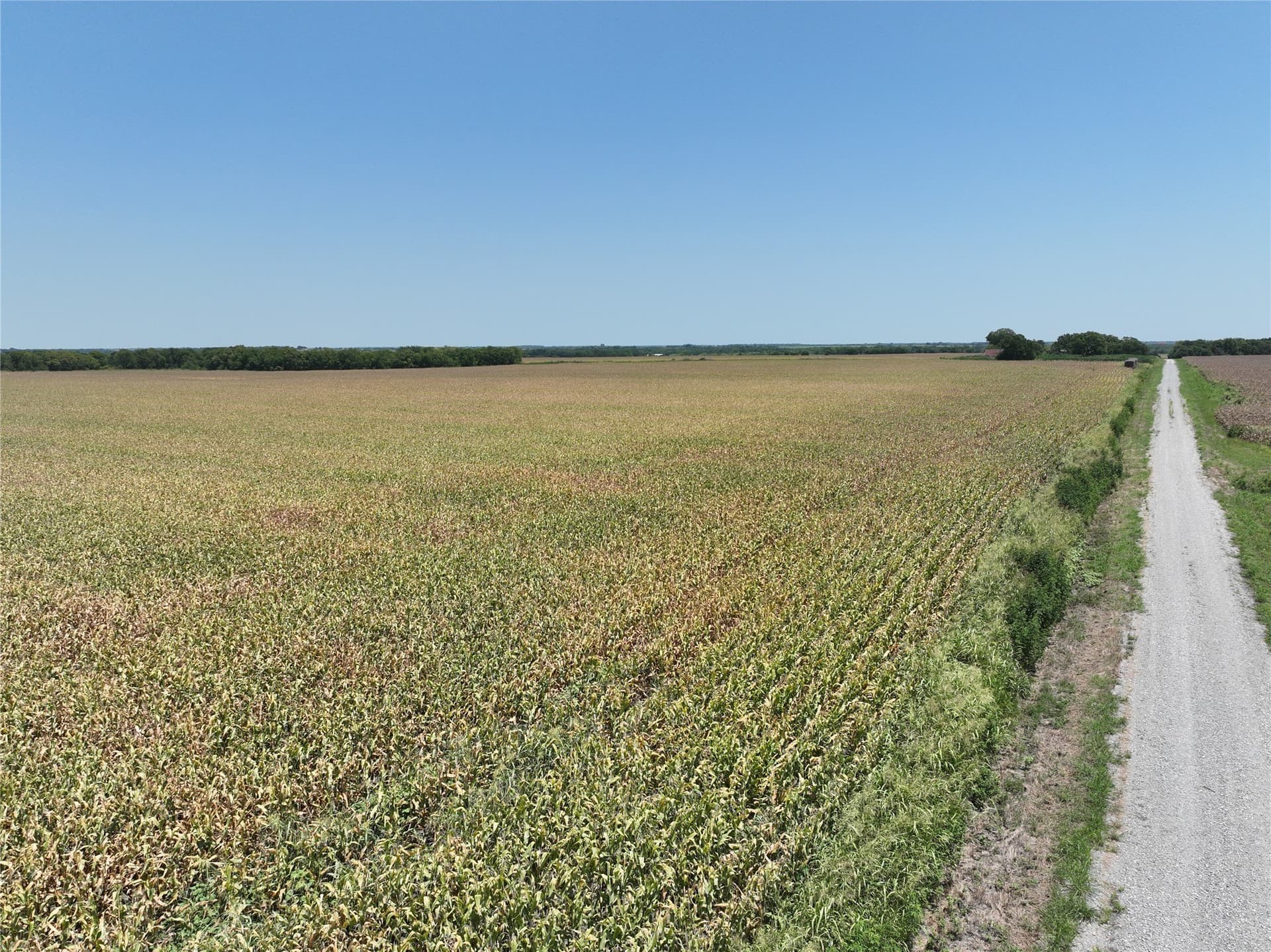 157.63 acres in Hunt County - photo 8