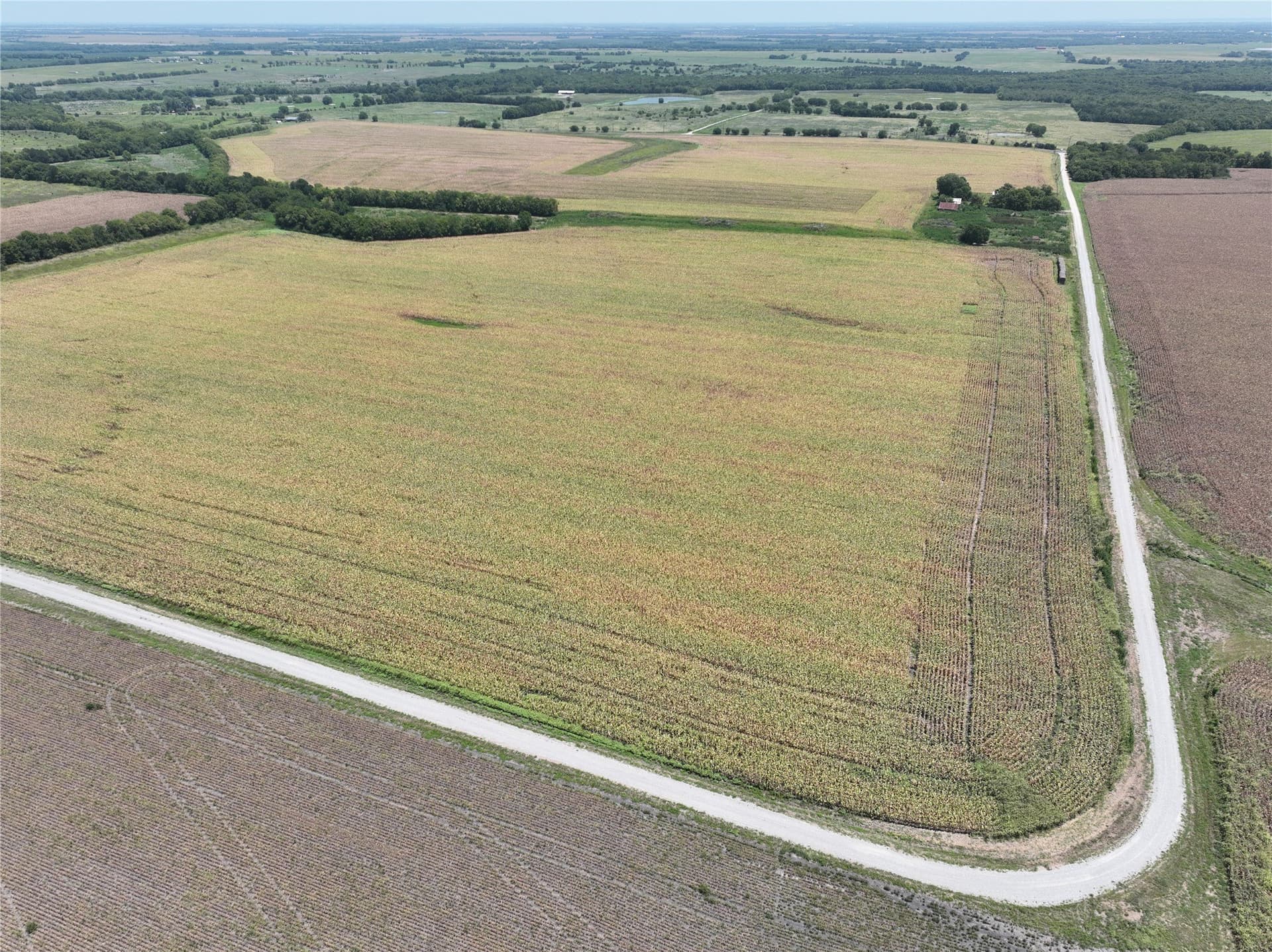 157.63 acres in Hunt County - photo 6