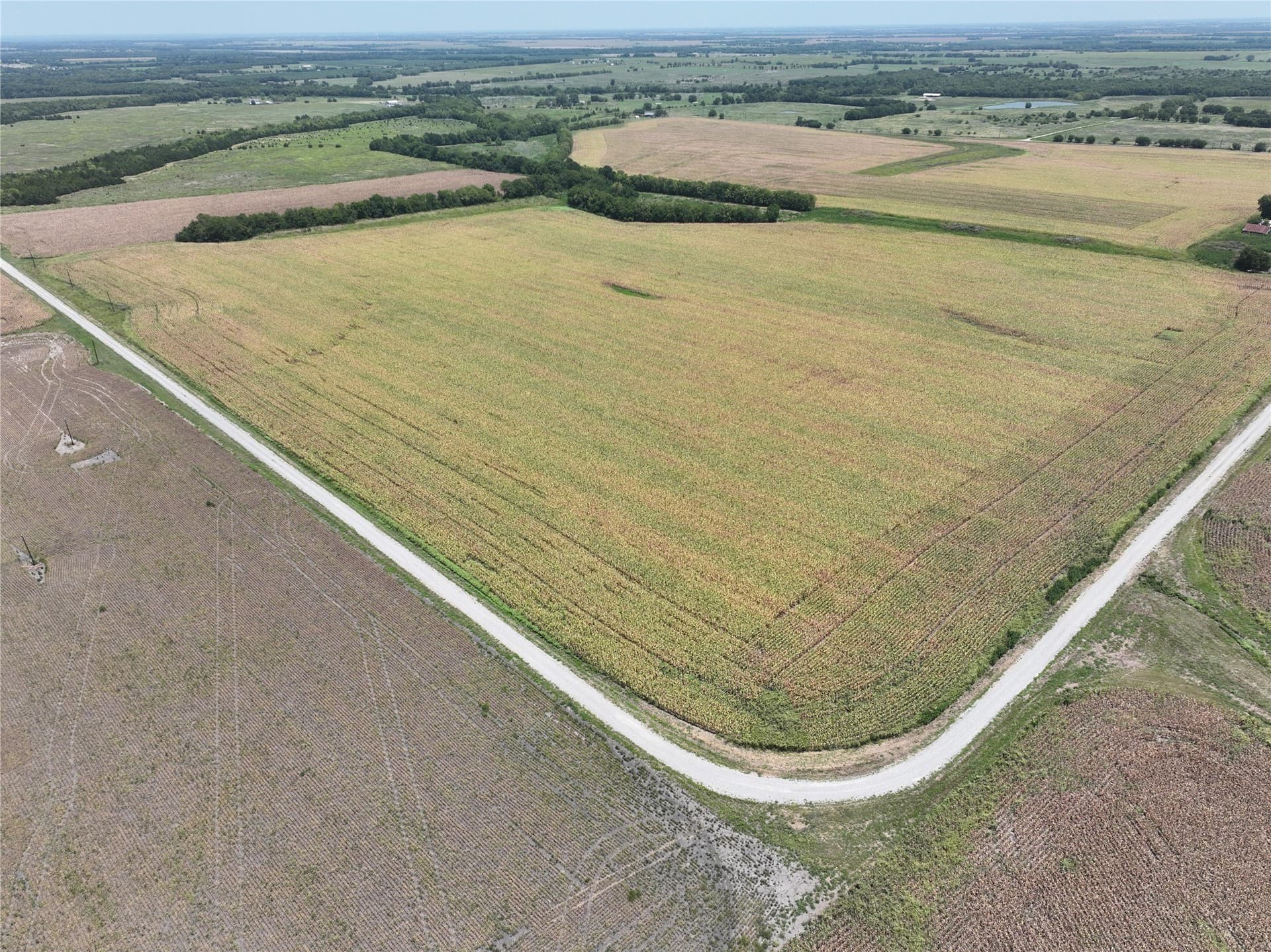 157.63 acres in Hunt County - photo 7