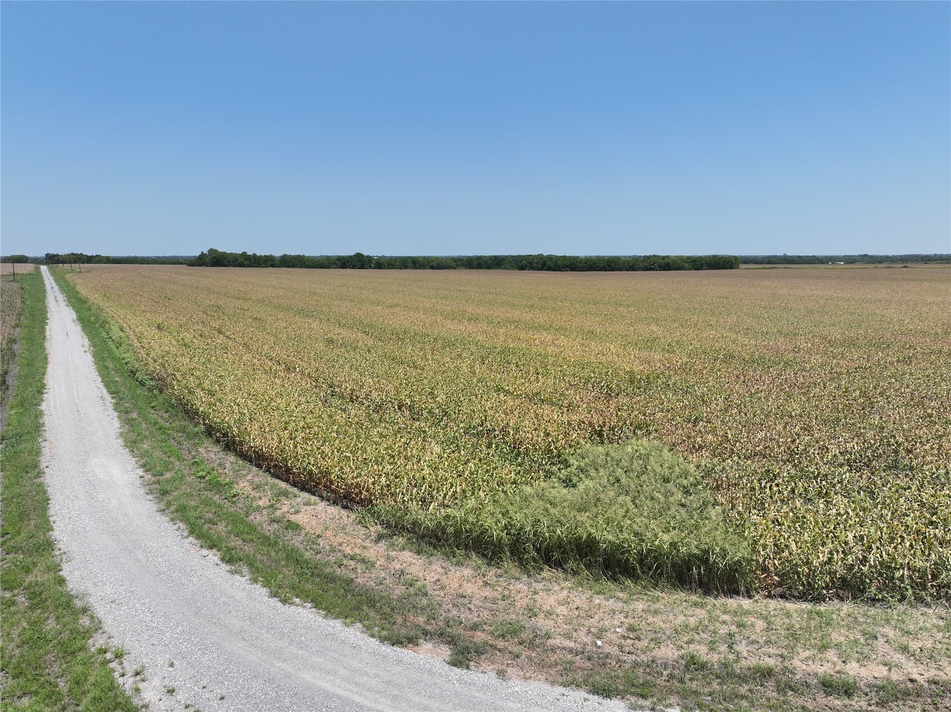 157.63 acres in Hunt County - photo 9
