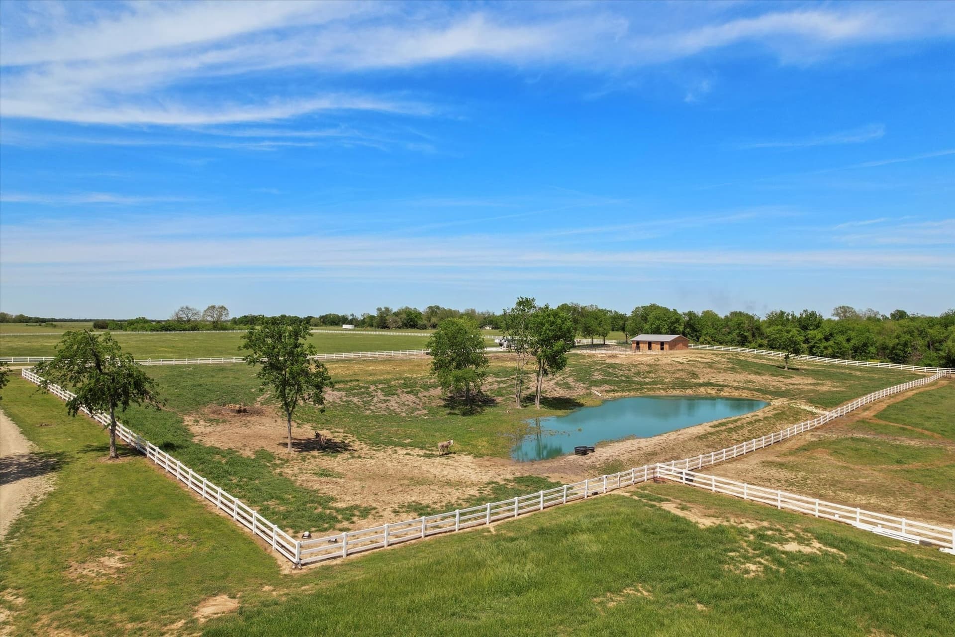 37.15 acres in Navarro County - photo 35