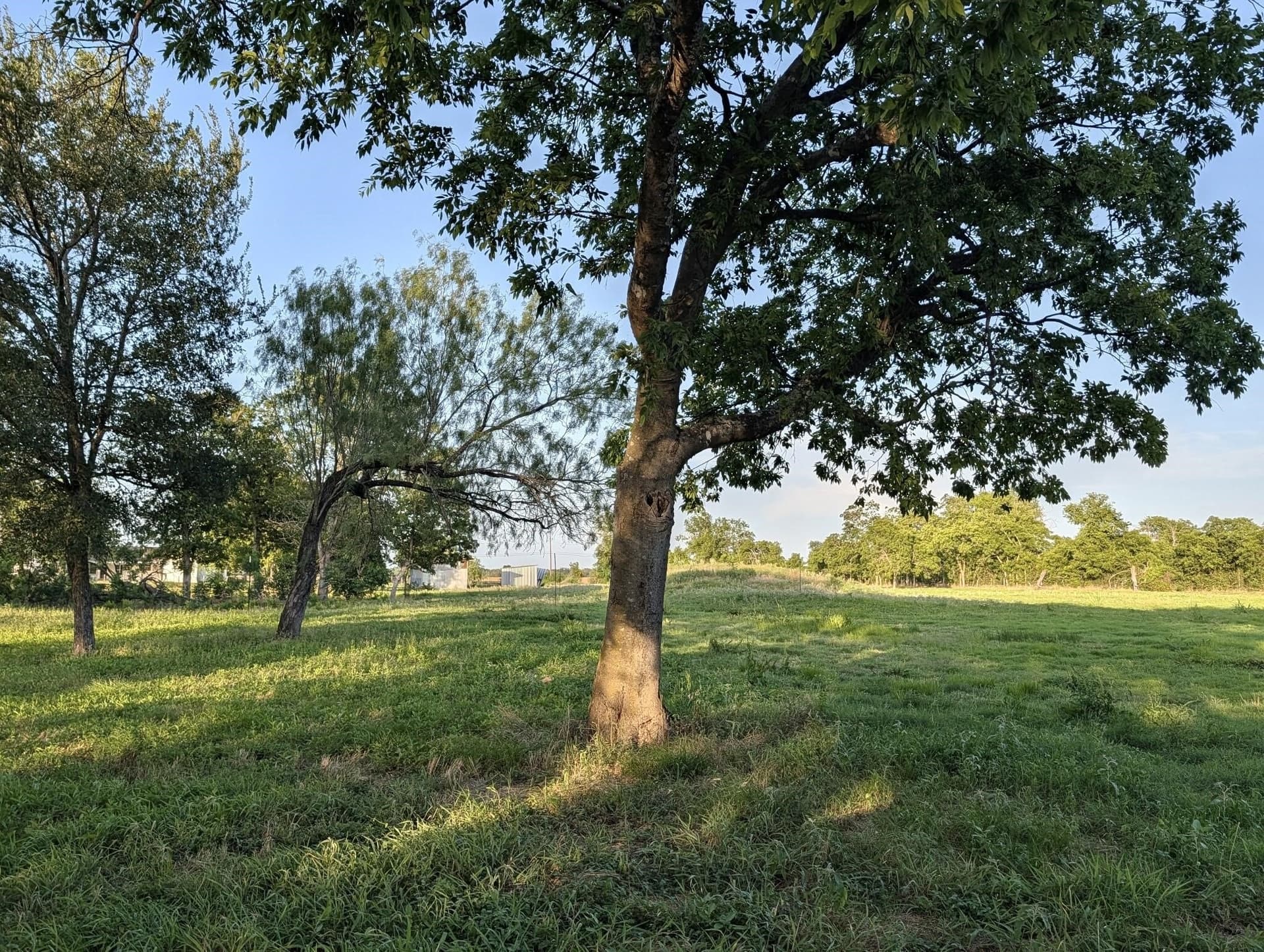 3.16 acres in McLennan County gallery image 3