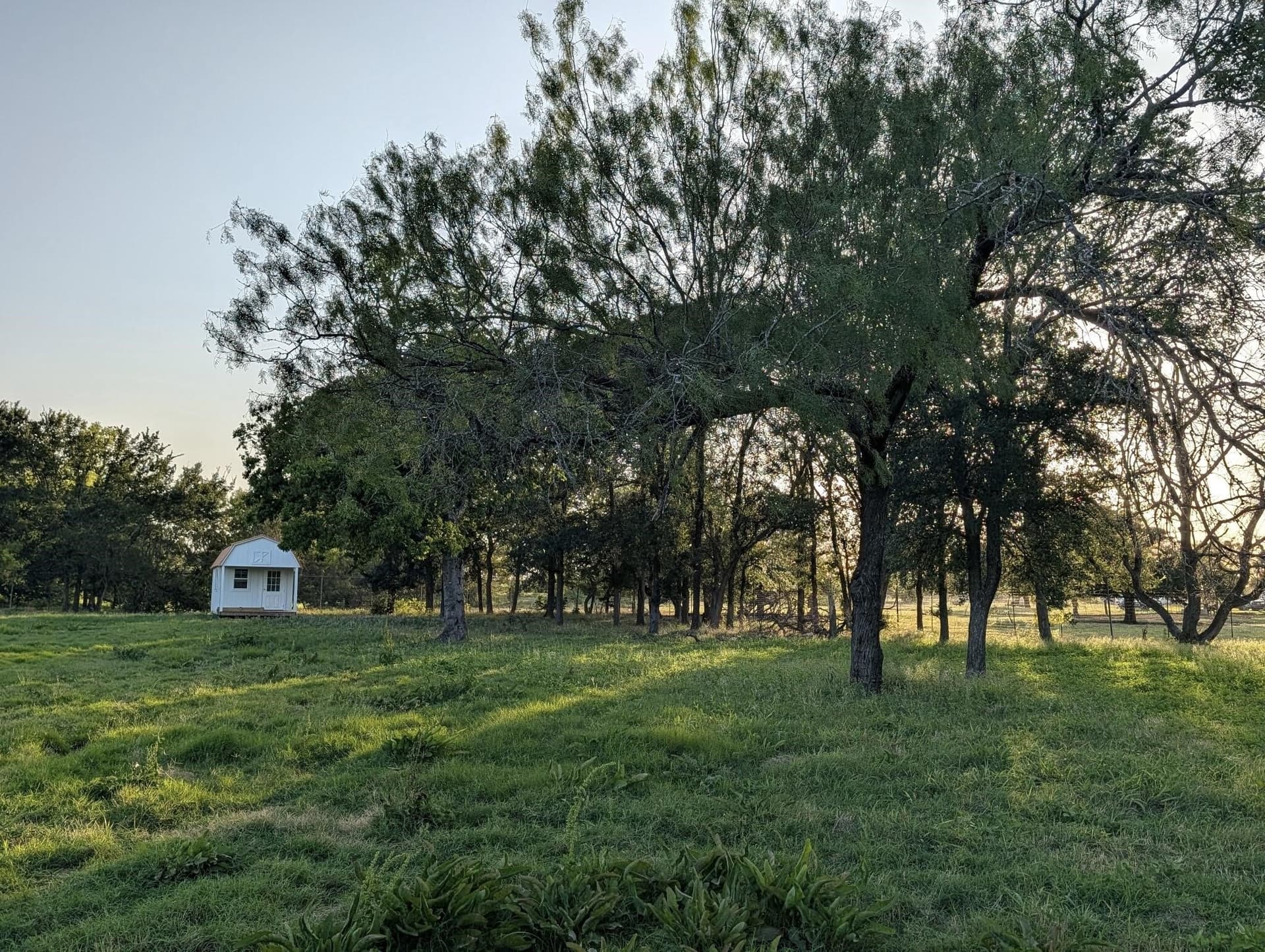 3.16 acres in McLennan County gallery image 4