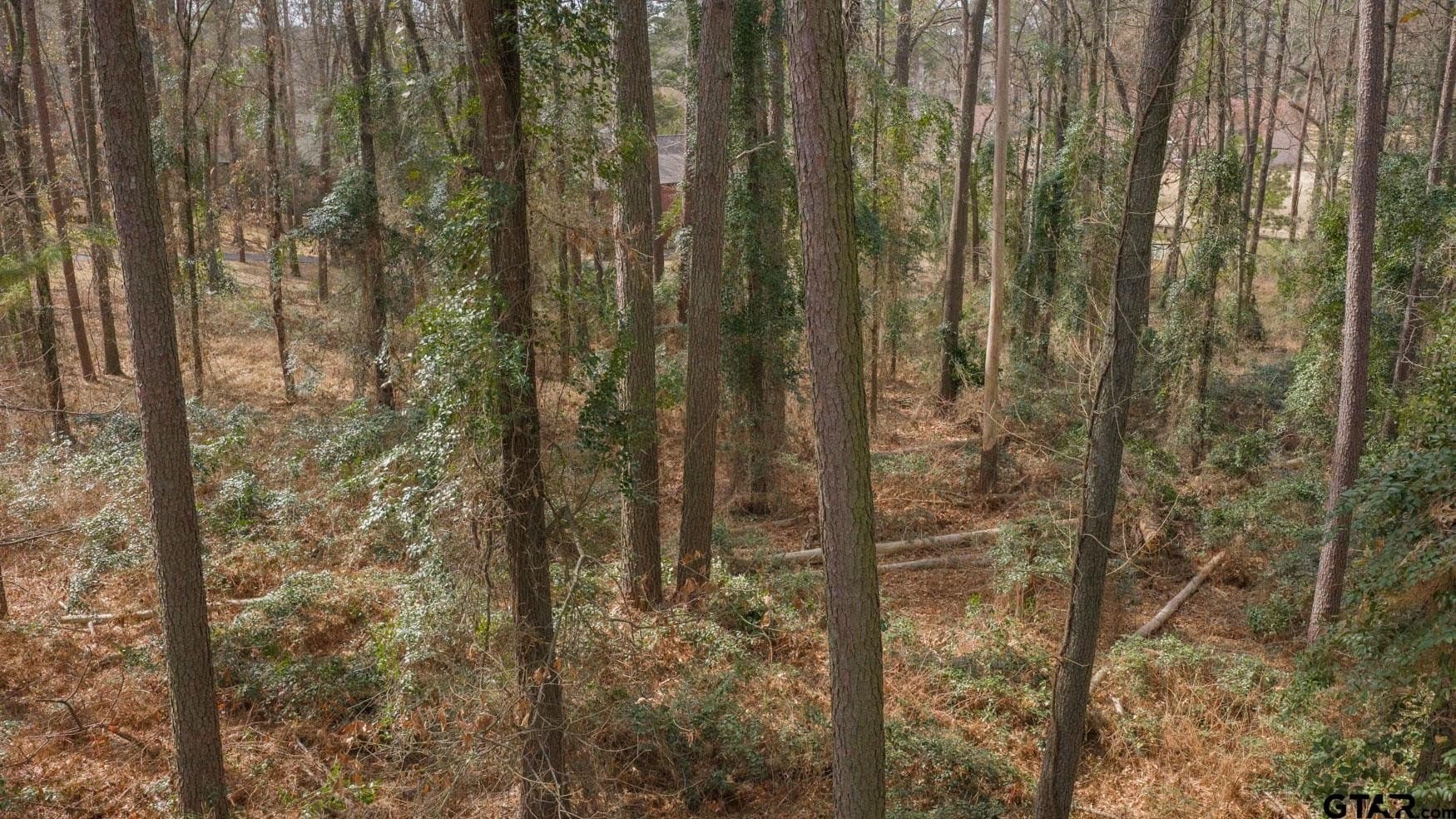 1.48 acres in Franklin County - photo 12