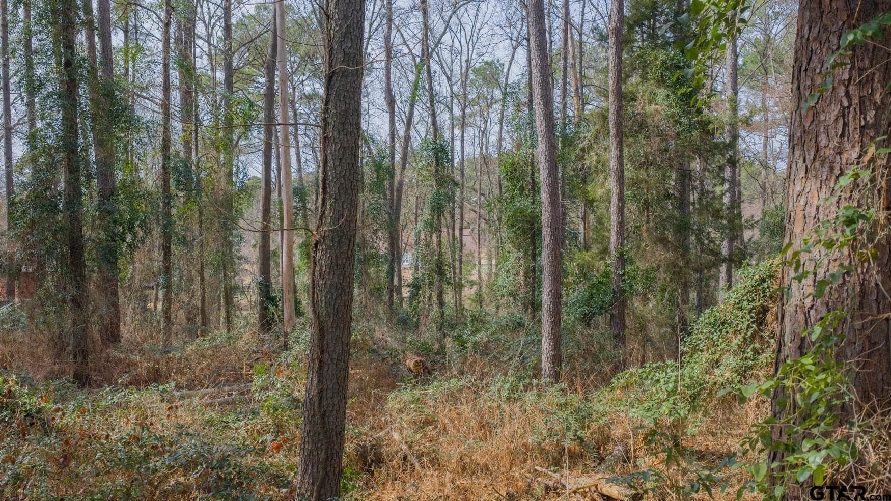 1.48 acres in Franklin County - photo 11