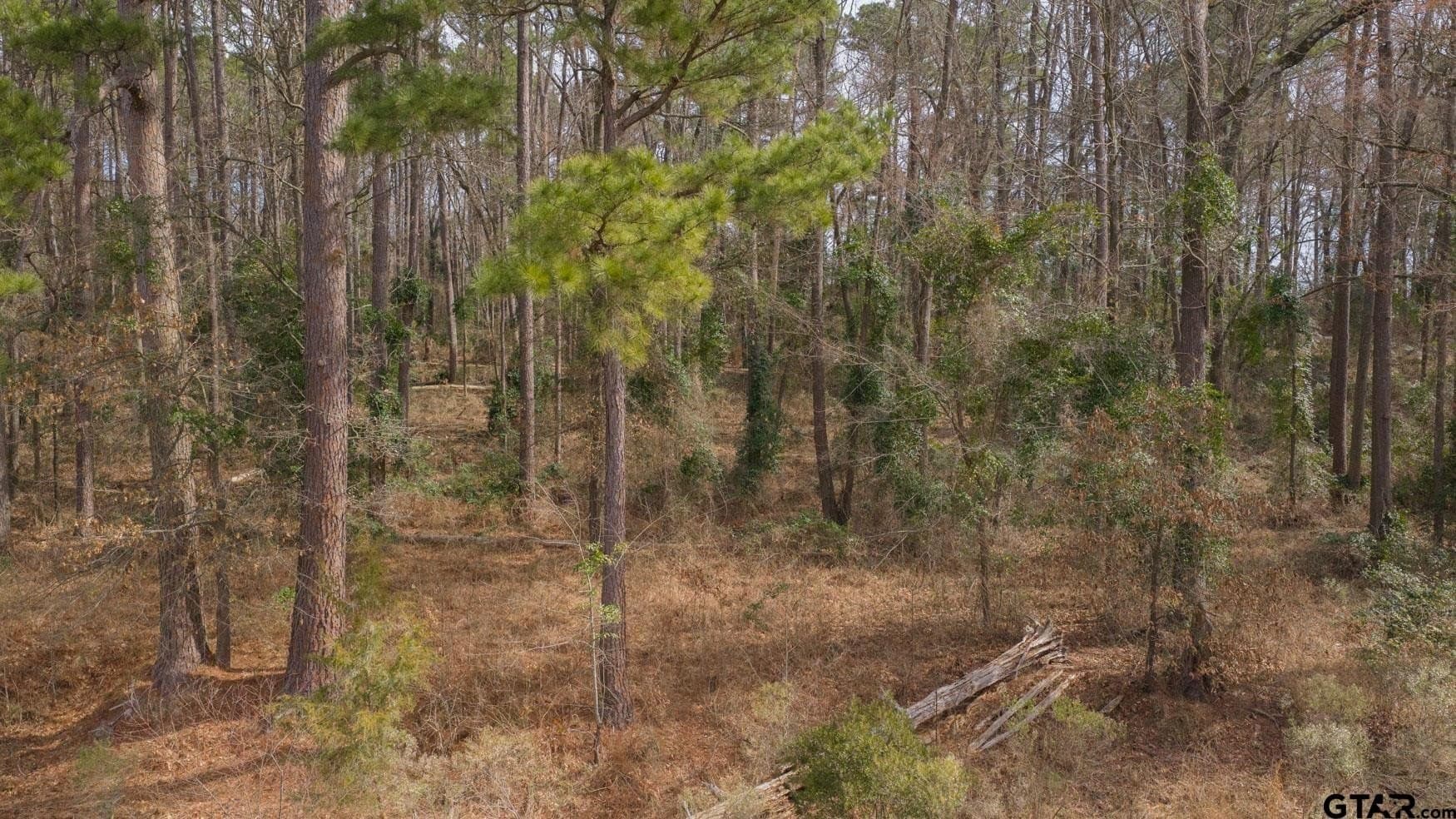 1.48 acres in Franklin County - photo 13