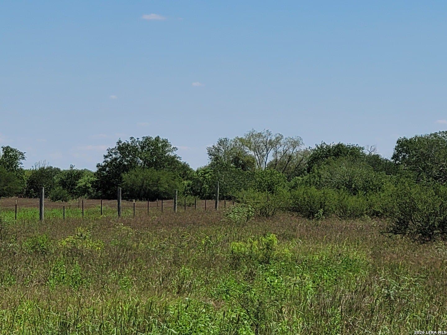 11 acres in Atascosa County featured view