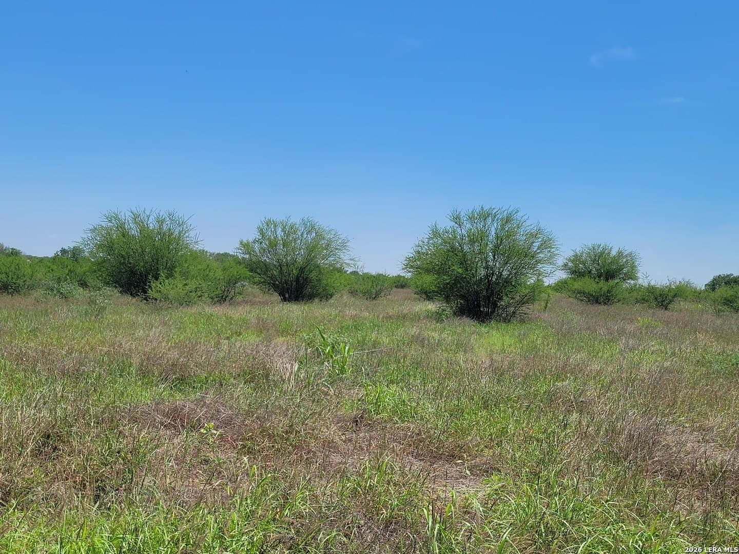 11 acres in Atascosa County - photo 8