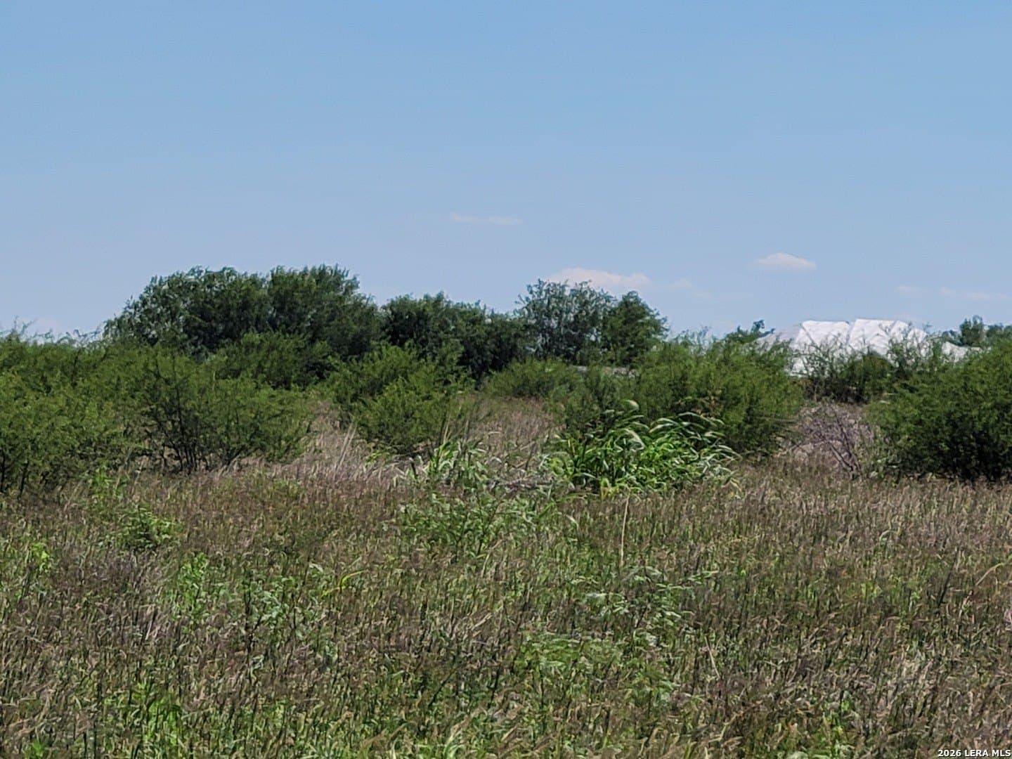 11 acres in Atascosa County - photo 10