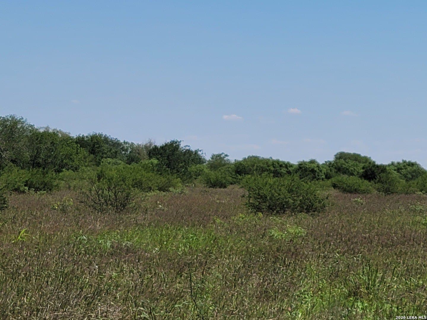 11 acres in Atascosa County - photo 9