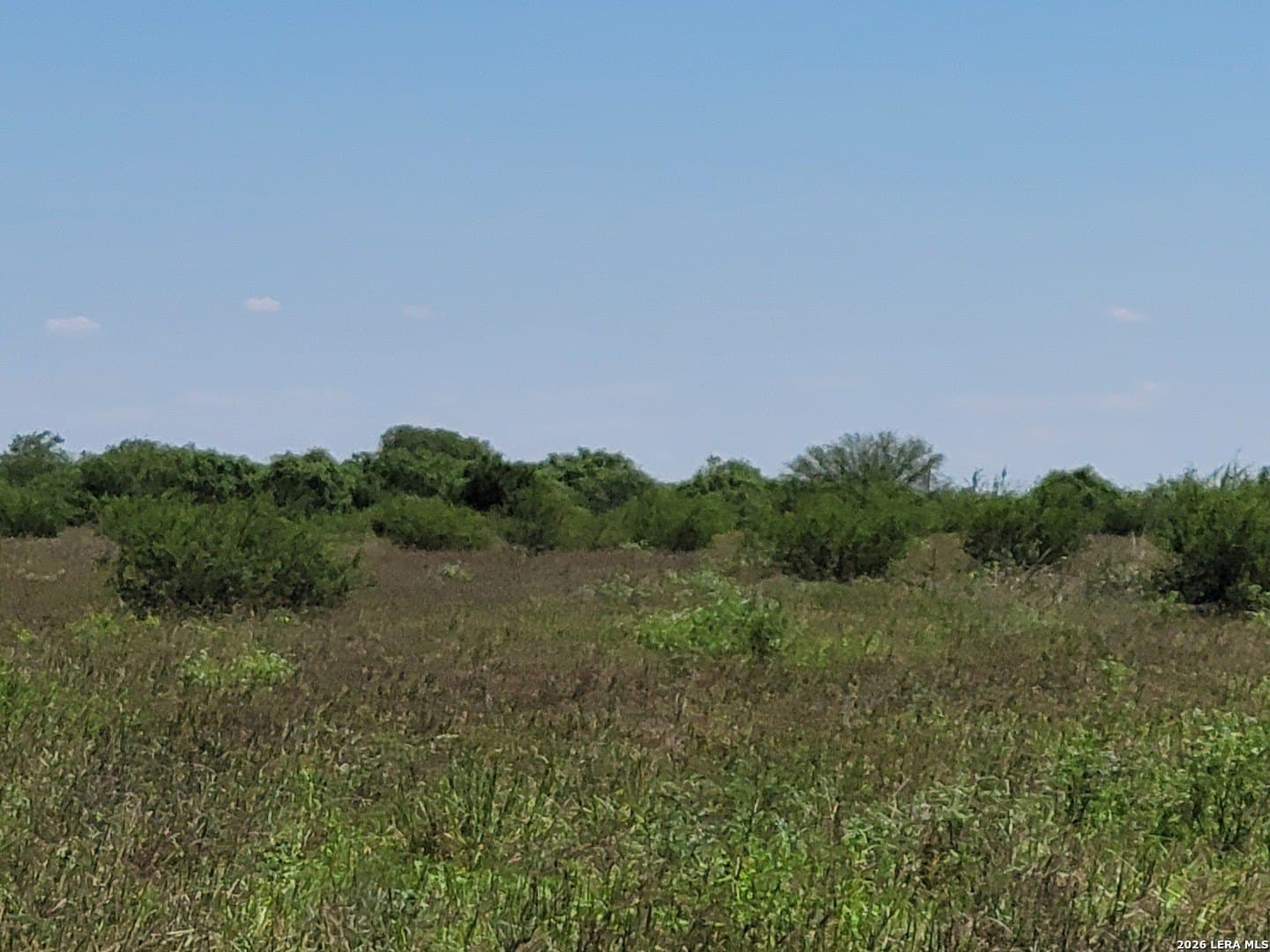 11 acres in Atascosa County - photo 6