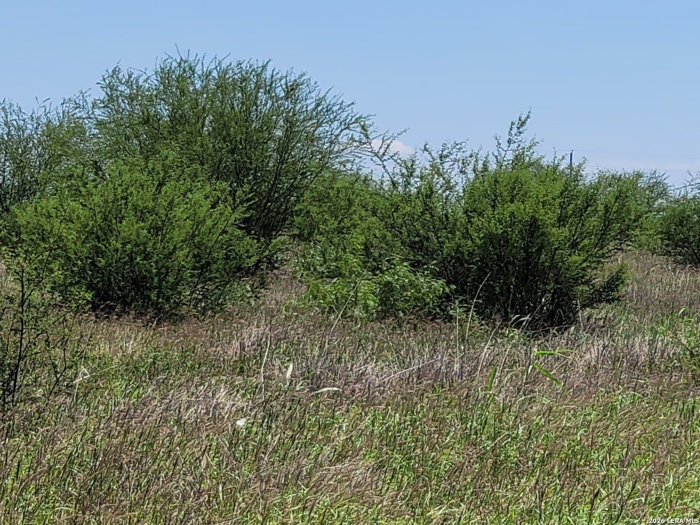 11 acres in Atascosa County - photo 7