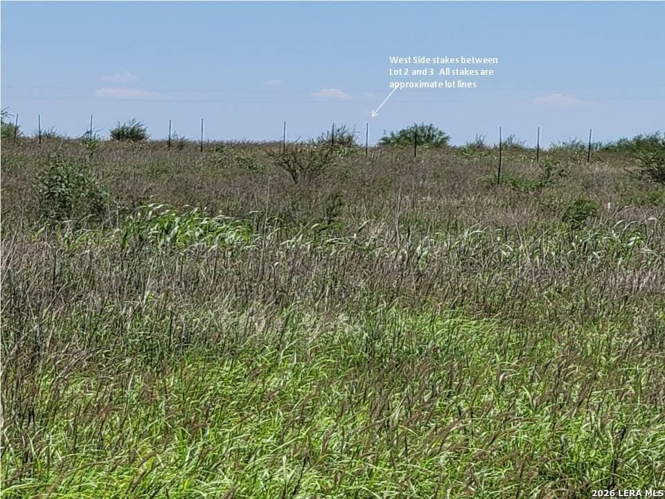 11 acres in Atascosa County - photo 11