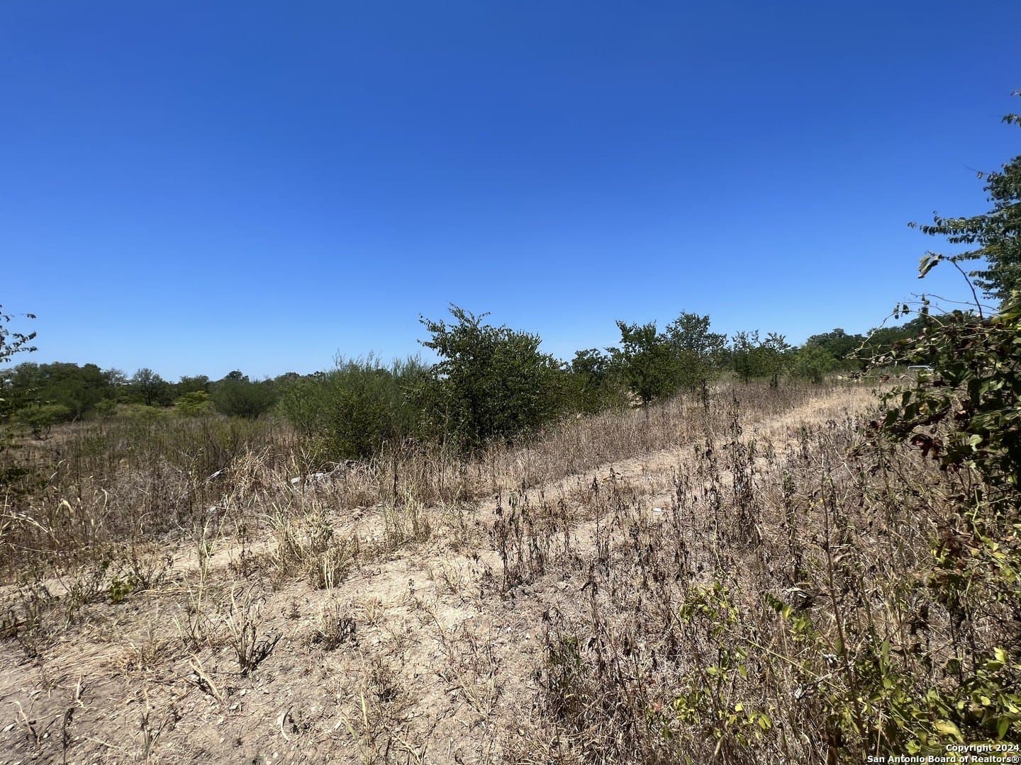 10.4 acres in Hayes County - photo 14