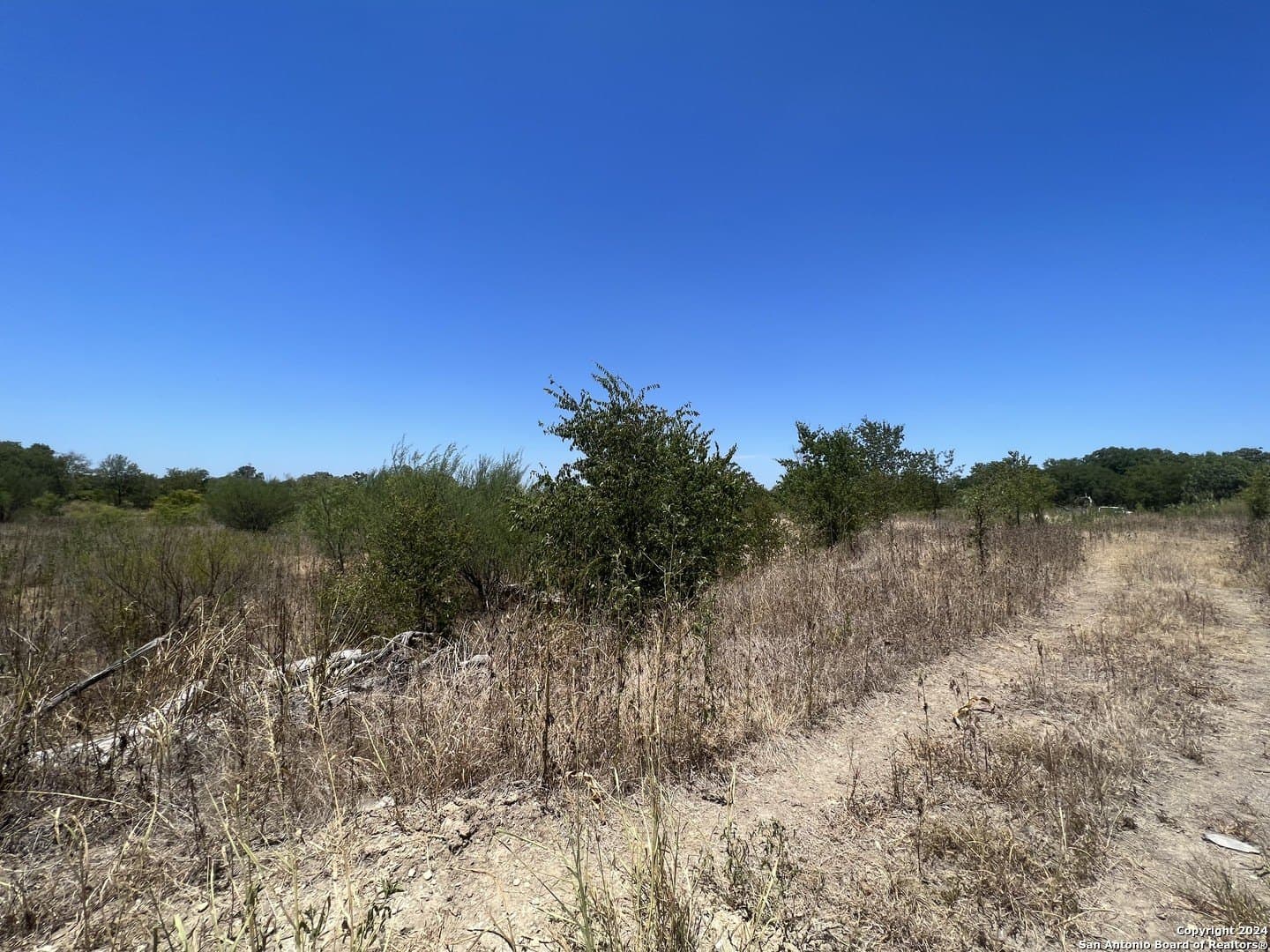 10.4 acres in Hayes County - photo 13