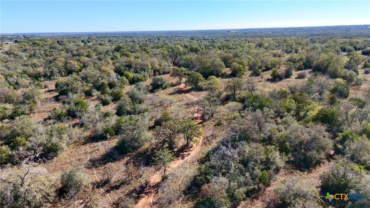 668 acres in Gonzales County - photo 6