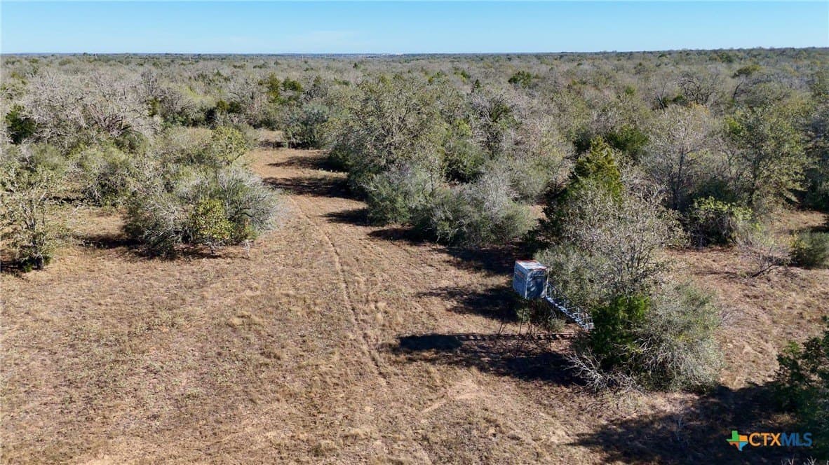 668 acres in Gonzales County - photo 43