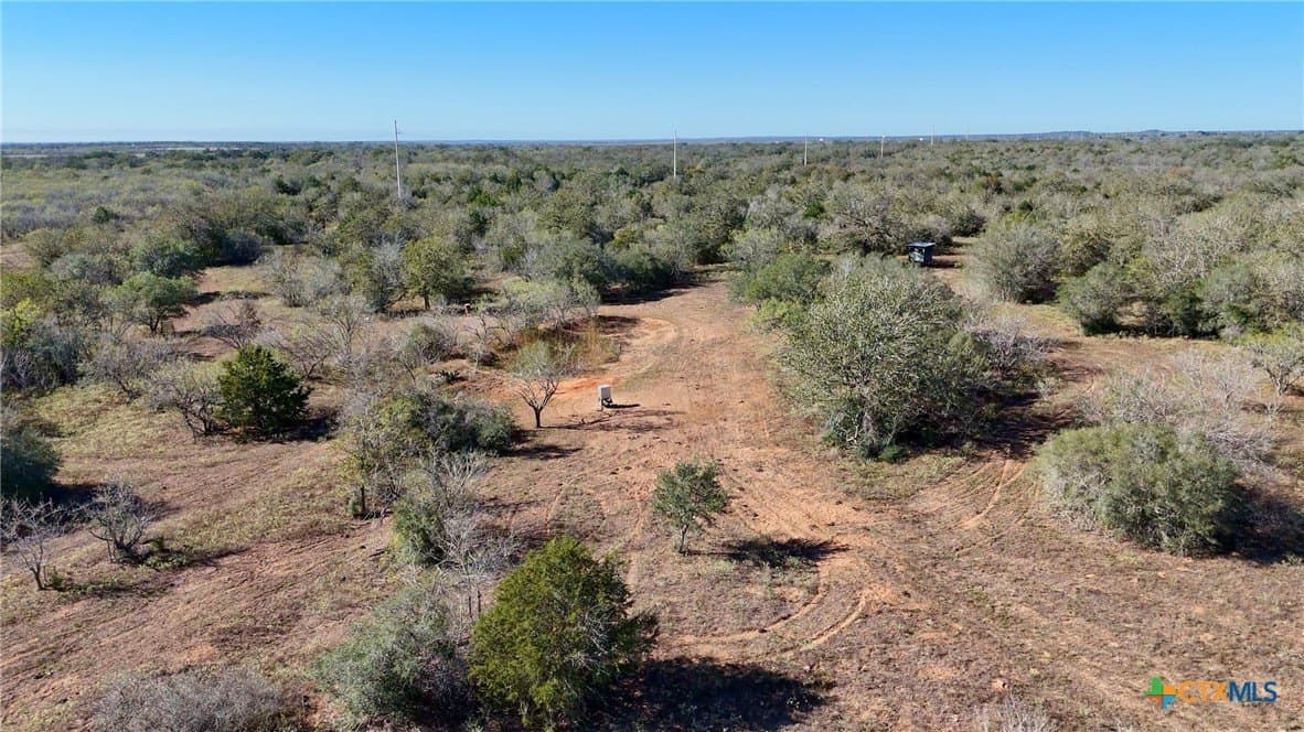 668 acres in Gonzales County - photo 29