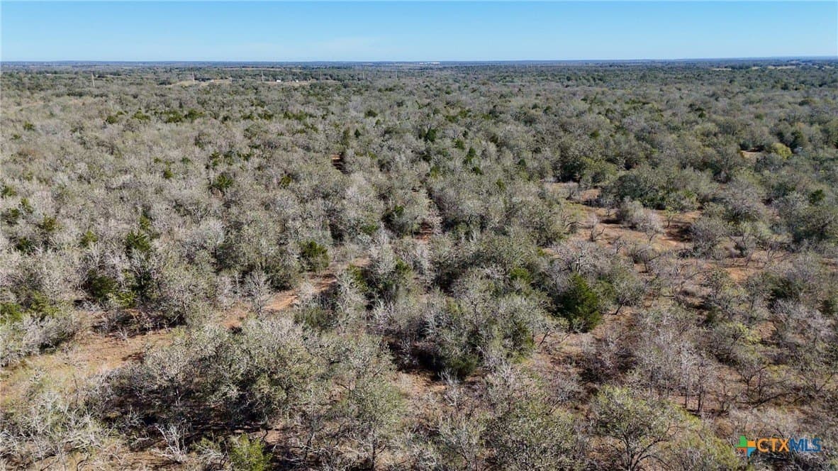 668 acres in Gonzales County - photo 41