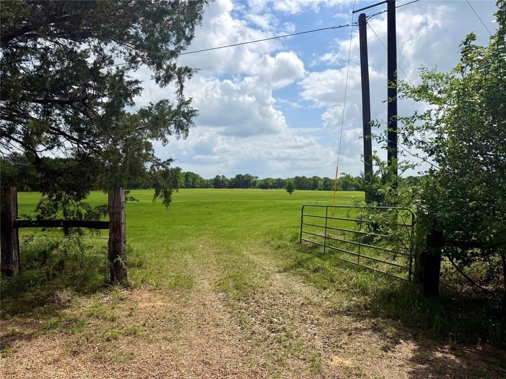 11 acres in Henderson County gallery image 2