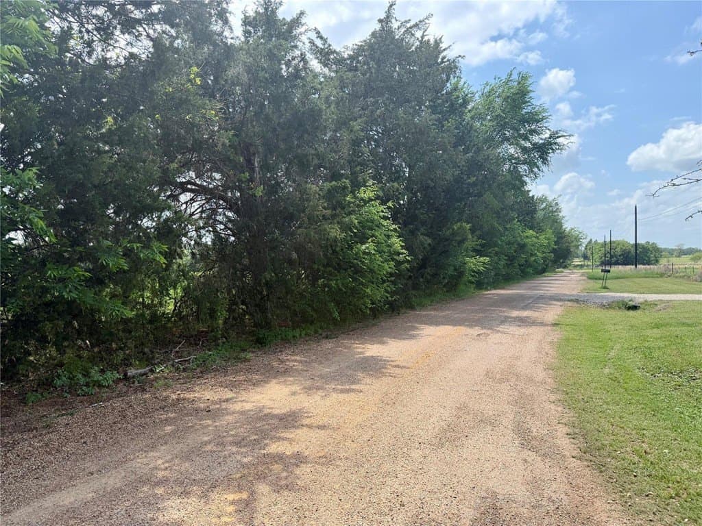11 acres in Henderson County gallery image 4