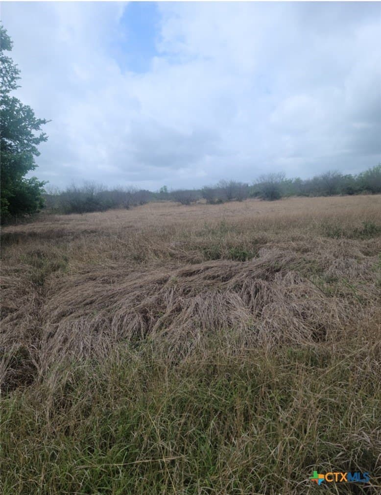 9.6 acres in Victoria County gallery image 4